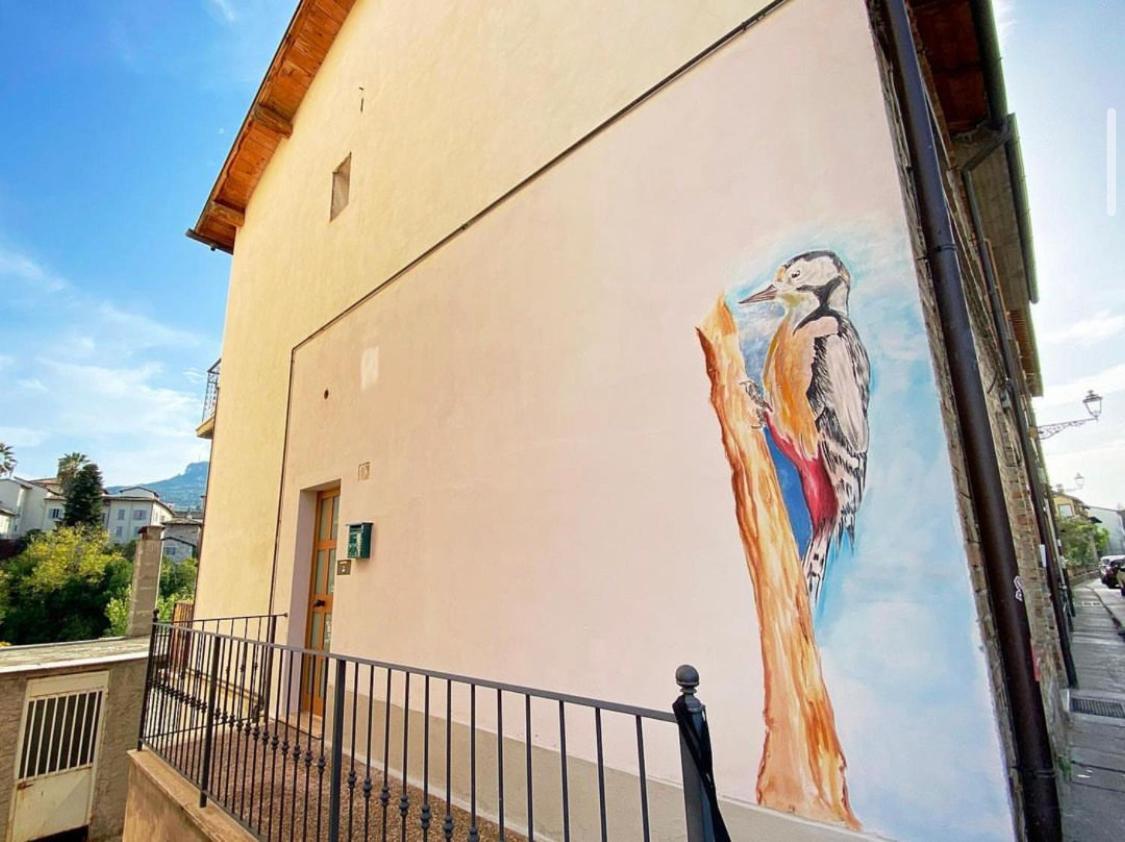 Mini Appartamento "Il Nido Del Picchio" อัสโกลีปิเชโน ภายนอก รูปภาพ